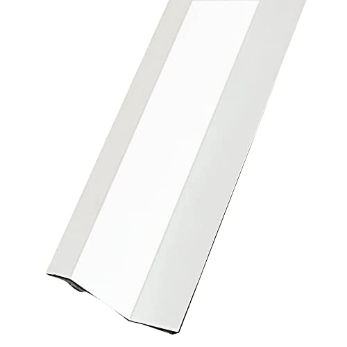 Amig - Tapajuntas para Suelo | 820 mm x 40 mm | Tira de Transición en Escalón y con Fijación Adhesiva | Cubrecantos Embellecedor para Uniones | Acero Inoxidable 18/8 Plateado Mate