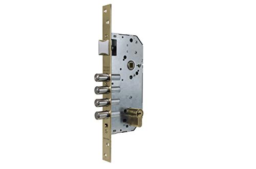 Tesa Assa Abloy R200B566L Cerradura De Seguridad Monopunto Con Cilindro T60, Acero Inoxidable/Dorado