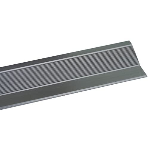 Amig - Tapajuntas para Suelo | 985 mm x 40 mm | Tira de Transición en Escalón y Adhesivo | Cubrecantos Embellecedor para Uniones de Madera, Parquet, Tarima, Mármol y Azulejo | Aluminio Plateado