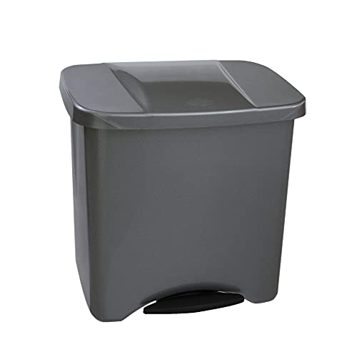 Denox DEN113 Pedalbin Ecológico 50 litros, Metal, 475x360x480 mm