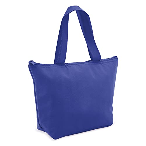 SV life Bolsa Térmica, Nevera Plegable tamaño Pequeño | Cierre con Cremallera, Isotérmica Aislante, Mantiene Frío y Calor Alimentos | para Almuerzo, Escuela Niños, Oficina, Playa, Picnic (1ud, Azul)