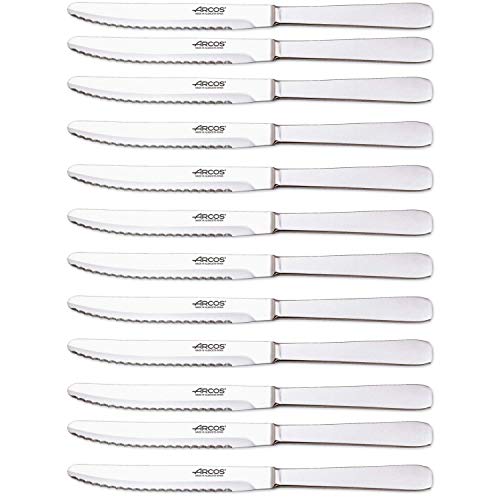 Arcos Serie Cuchillos de Mesa Caja 12 uds Cuchillo Mesa, Hoja Serrada de Acero Inoxidable de 125 mm, Cuchillo Monoblock Acero Inoxidable Color plata (12 UDS)
