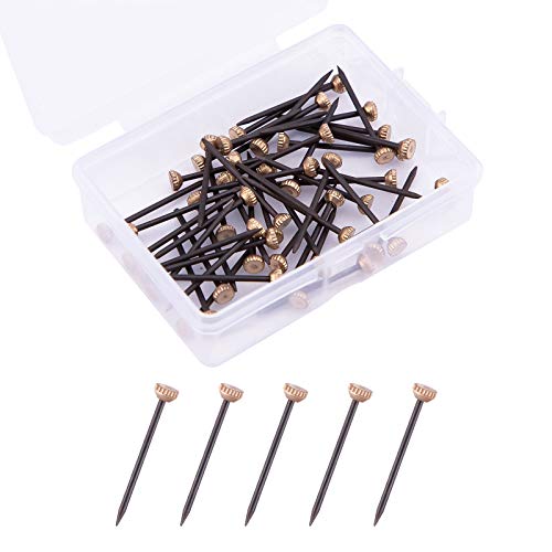 AIEX 50 Piezas Clavos para Colgar Cuadros Soluciones para Colgar Cuadros Colgadores para Marcos de Cuadros de Yeso con Caja de Almacenamiento de Plástico