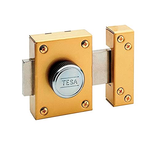 Tesa Assa Abloy 210150AE Cerradura 2101-ae/50, Latonado, TE5