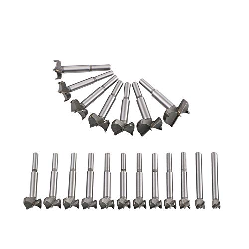 Flintronic Brocas Forstner, 19PCS (10mm ~ 40mm) Brocas Set de Acero al Tungsteno Titanium Recubierto, Fresadora Herramienta para Perforadora, Corte Agujero en Carpintería para Madera