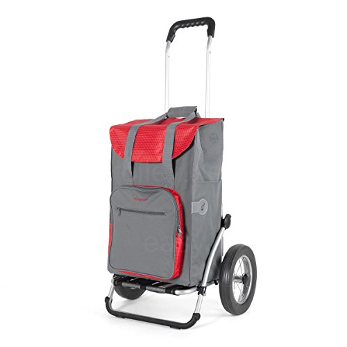 Andersen Carro de Compra Royal con Bolsa Wismar Gris, Volumen 45L, Bolsa termica y Marco de Aluminio