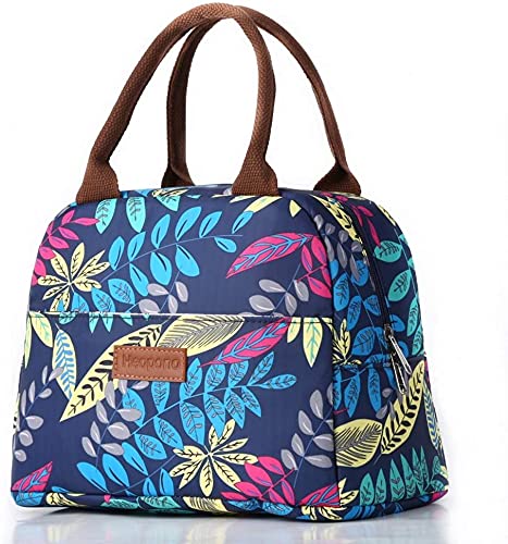 Valieno 11L Bolsa Termica Porta Alimentos Bolsa Comida Trabajo con Capa de Papel de Aluminio Aislante Fácil de Limpiar Adecuado para Picnics Trabajo Escuela 27x16x21CM