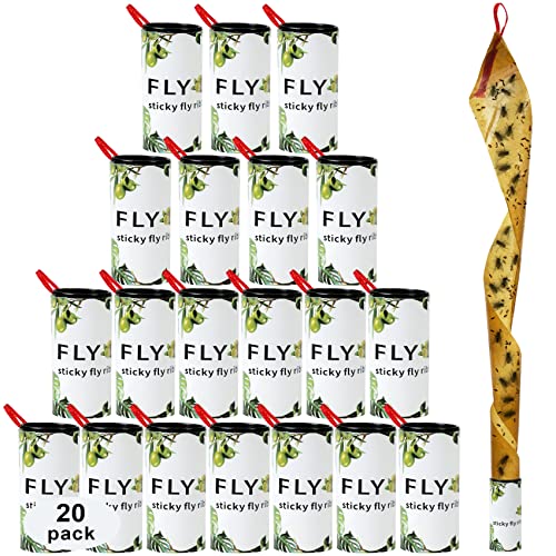 Hywean 20 Piezas de Papel Trampa para Moscas Adhesivo para Moscas Papel para Moscas Mosquito Insecto de Papel para Interiores y Exteriores, Trampa para Moscas de Diseño de Planta Verde
