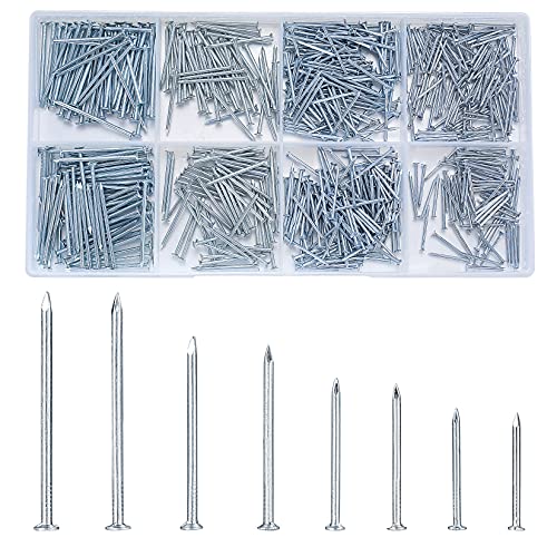 720 Piezas Surtido de Clavos para Madera, Clavo de Cabeza Redonda, Clavos Cemento para Pared Reparación Madera Bricolaje Colgar Cuadros Marco Espejo Construcción Hogar